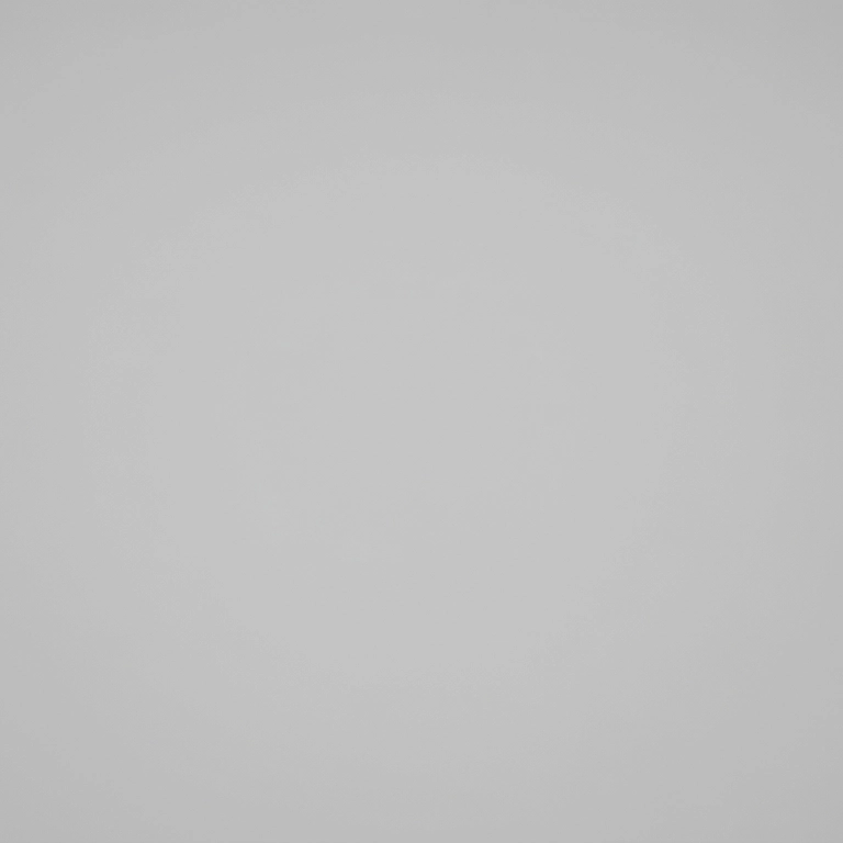A blank canvas